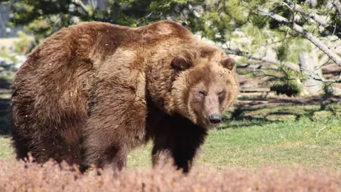 澳洲幸运10官方平台 产品 095508 4p5