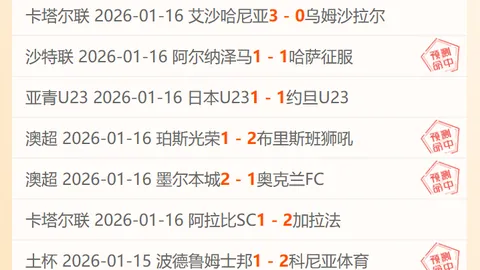 HOKA与On：香港跑鞋市场双雄策略各异，专卖店选址各具特色