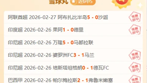 揭秘阿甲9胜8负背后的悬念：贝格与班菲的较量暗藏玄机！